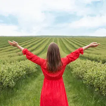 maria-jose-cabanillas-visualizaciones